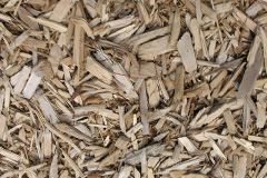 biomass boilers Flax Moss