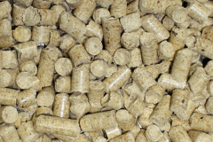 Flax Moss biomass boiler costs